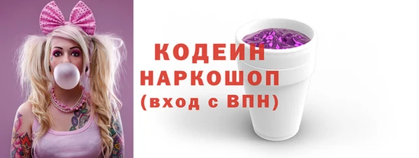 хмурый Абаза