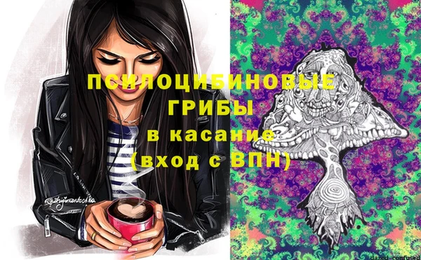 крисы Абинск